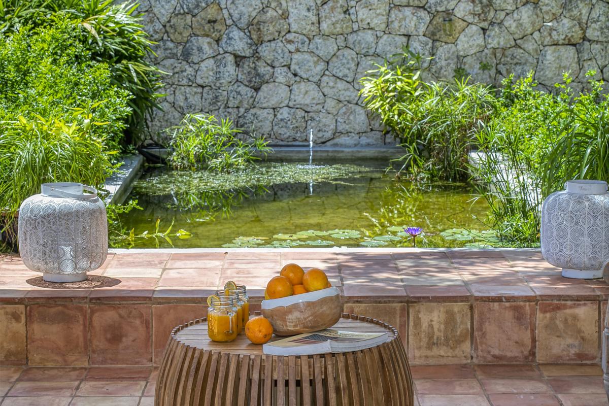 A louer villa 3 chambres Terres Basses Saint Martin_ Jardin - 43